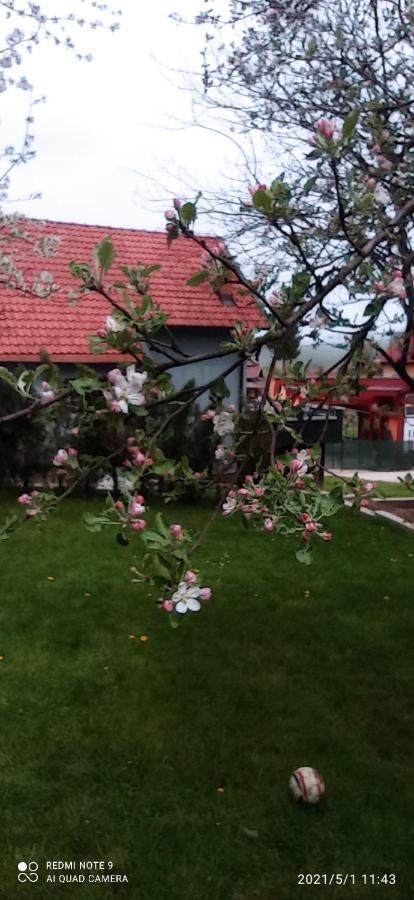 Ravne Apartman Visoko Exterior foto
